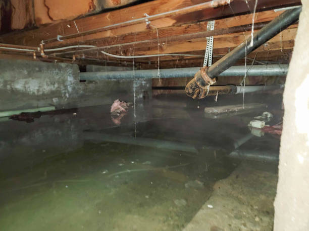 Best Water damage restoration near me  in Marlette, MI