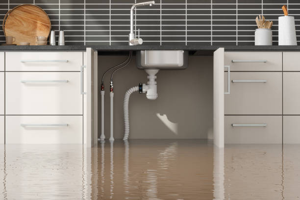 Best Mold removal after water damage  in Marlette, MI